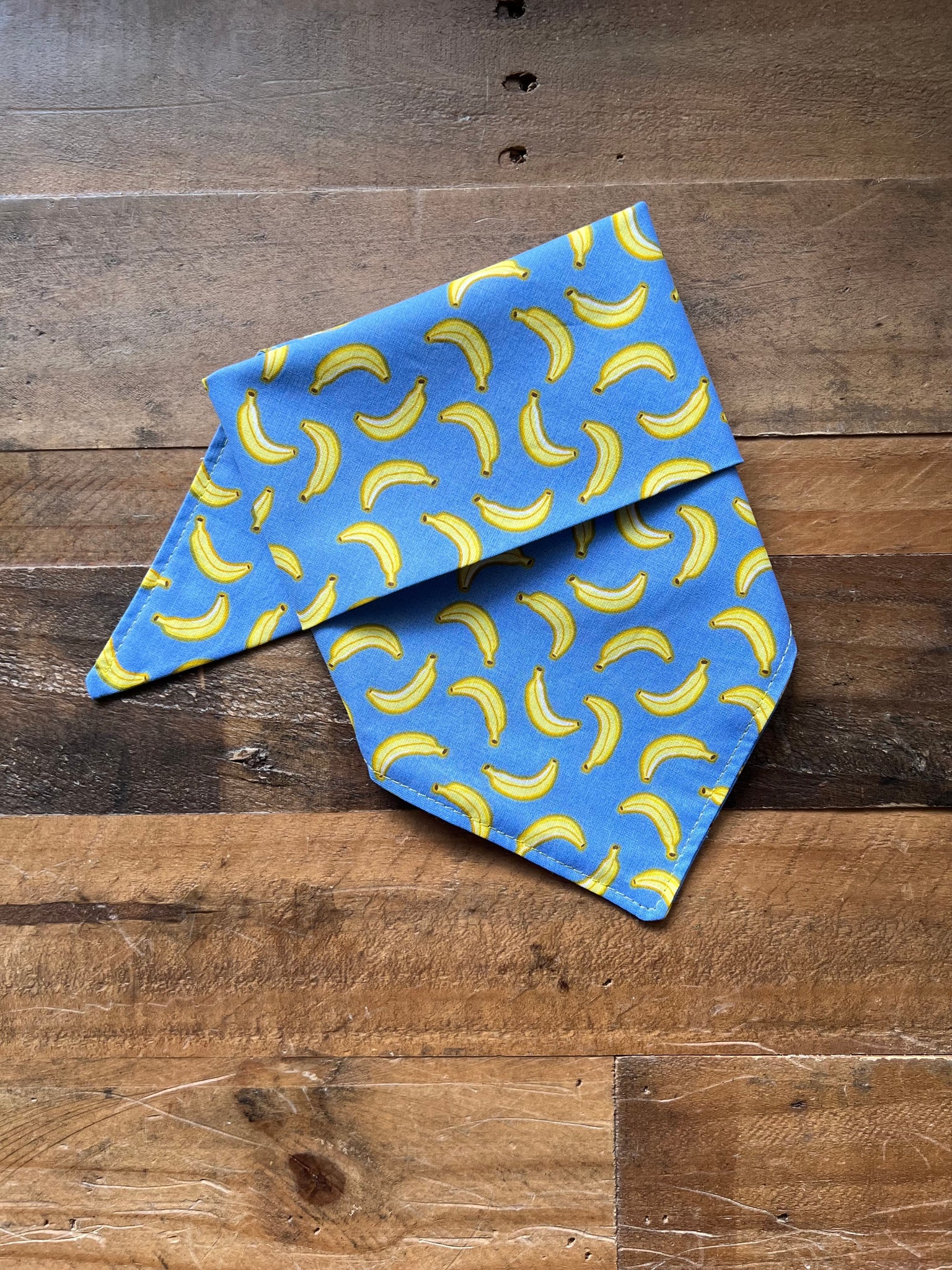 Bananas Dog Bandana - Blue