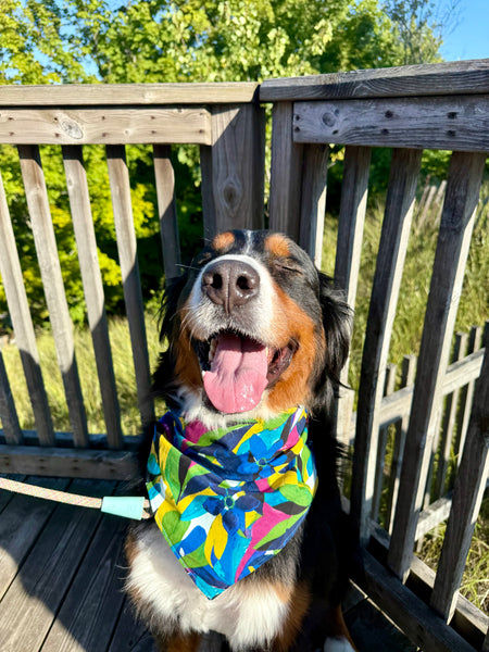 Blue Flowers Dog Bandana
