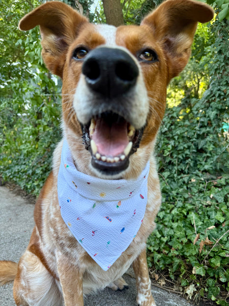Breezy Babe Dog Bandana