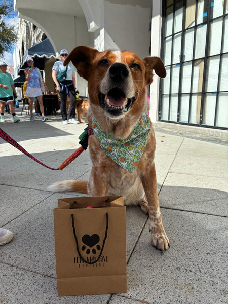 Tequila Party Dog Bandana