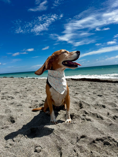 Dinos Dog Bandana