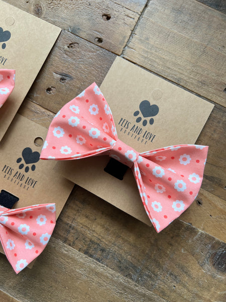 Carnations Collar Bow Pink