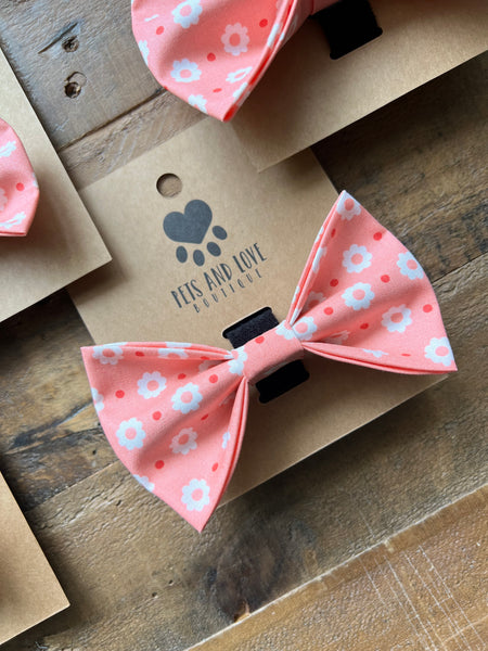 Carnations Collar Bow Pink