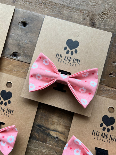 Carnations Collar Bow Pink