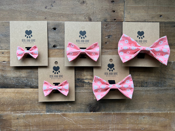 Carnations Collar Bow Pink