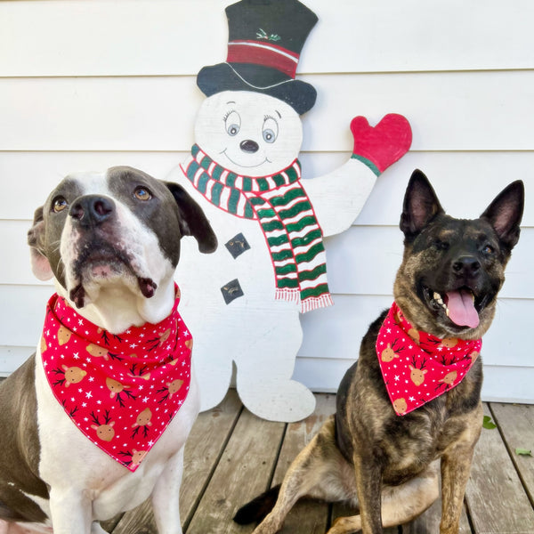 Christmas Reindeer Dog Bandana