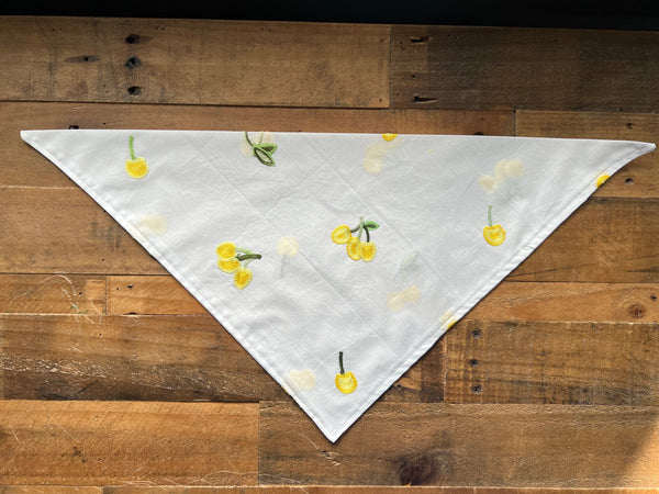 Ciliegie Gialle Dog Bandana