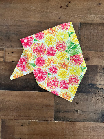 Citrus Fruit Dog Bandana