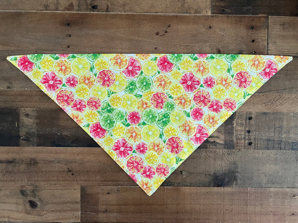 Citrus Fruit Dog Bandana