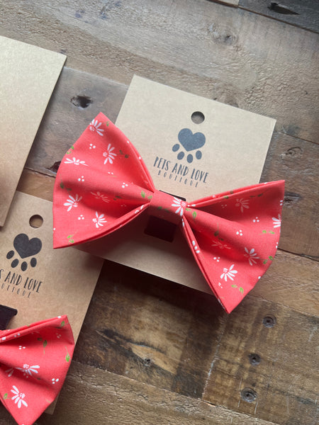 Dainty Daisy Pet Collar Bow