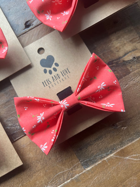 Dainty Daisy Pet Collar Bow