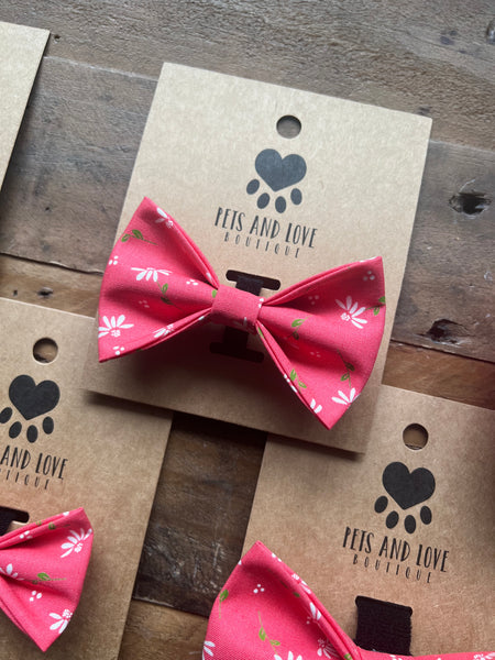 Dainty Daisy Pet Collar Bow