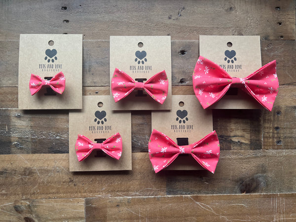 Dainty Daisy Pet Collar Bow