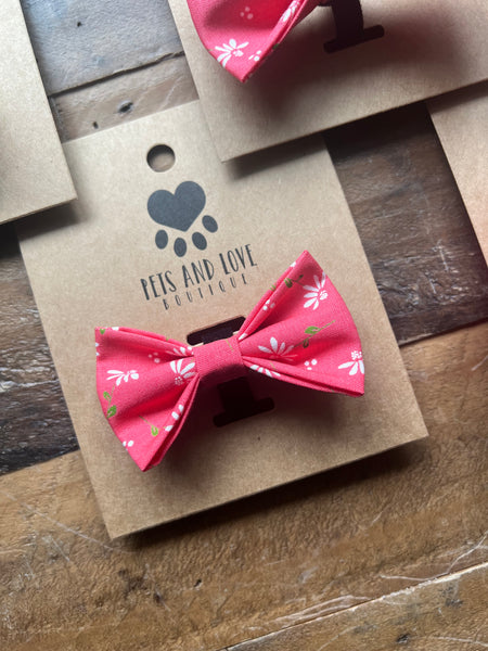 Dainty Daisy Pet Collar Bow