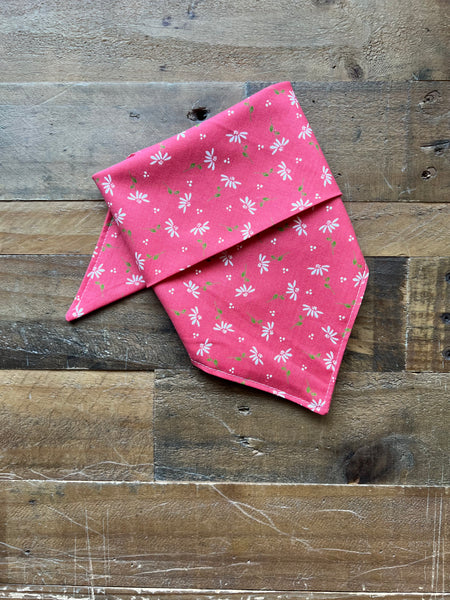 Dainty Daisy Dog Bandana Coral
