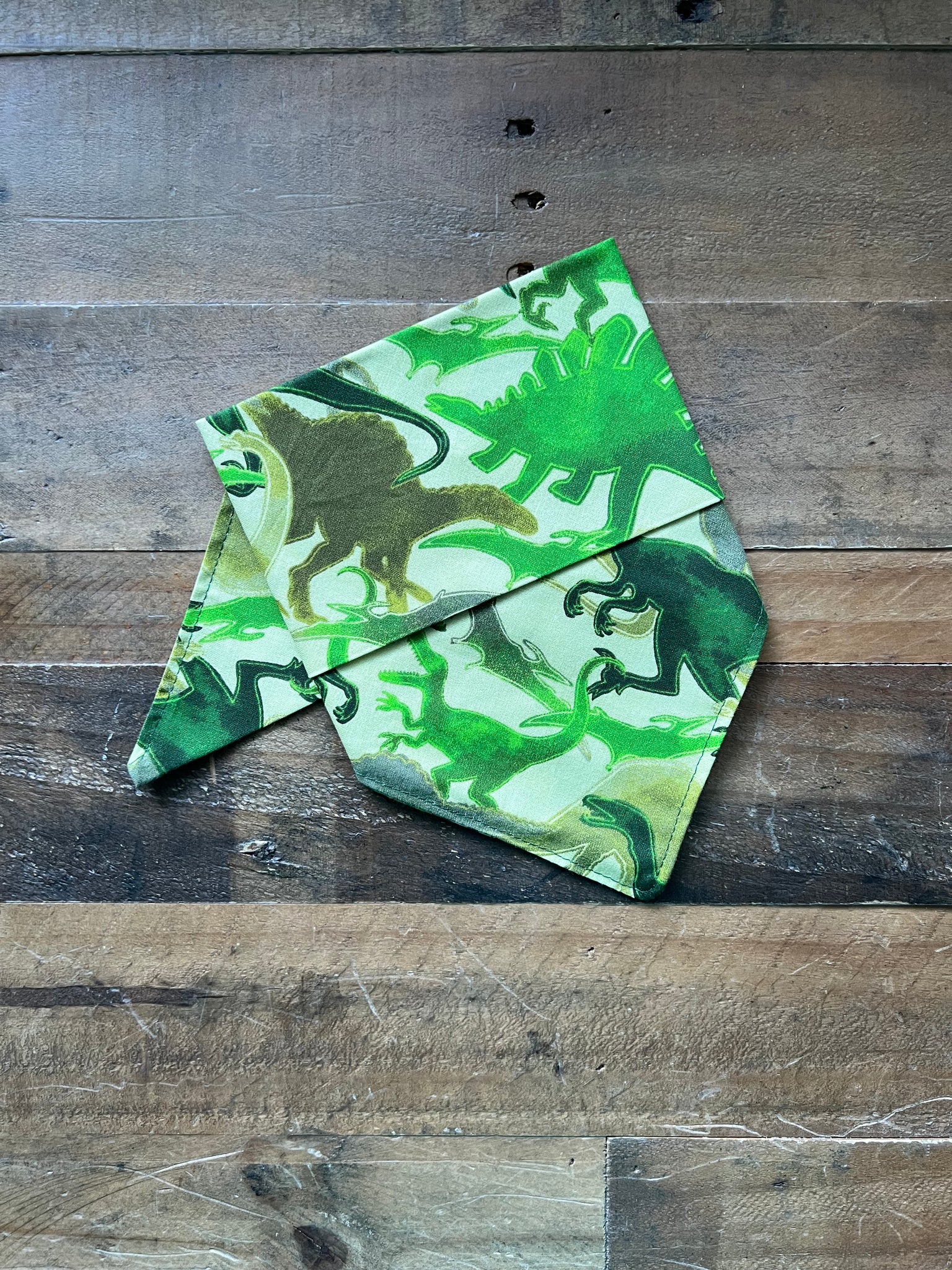Dinosaurs Dog Bandana