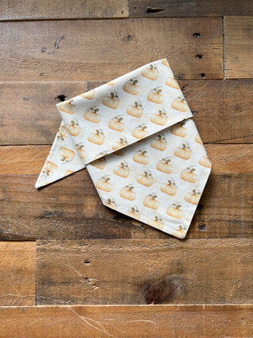 Fall Beige Pumpkins Dog Bandana