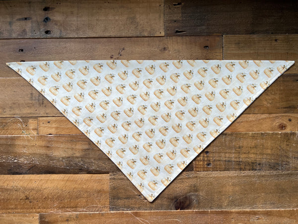 Fall Beige Pumpkins Dog Bandana