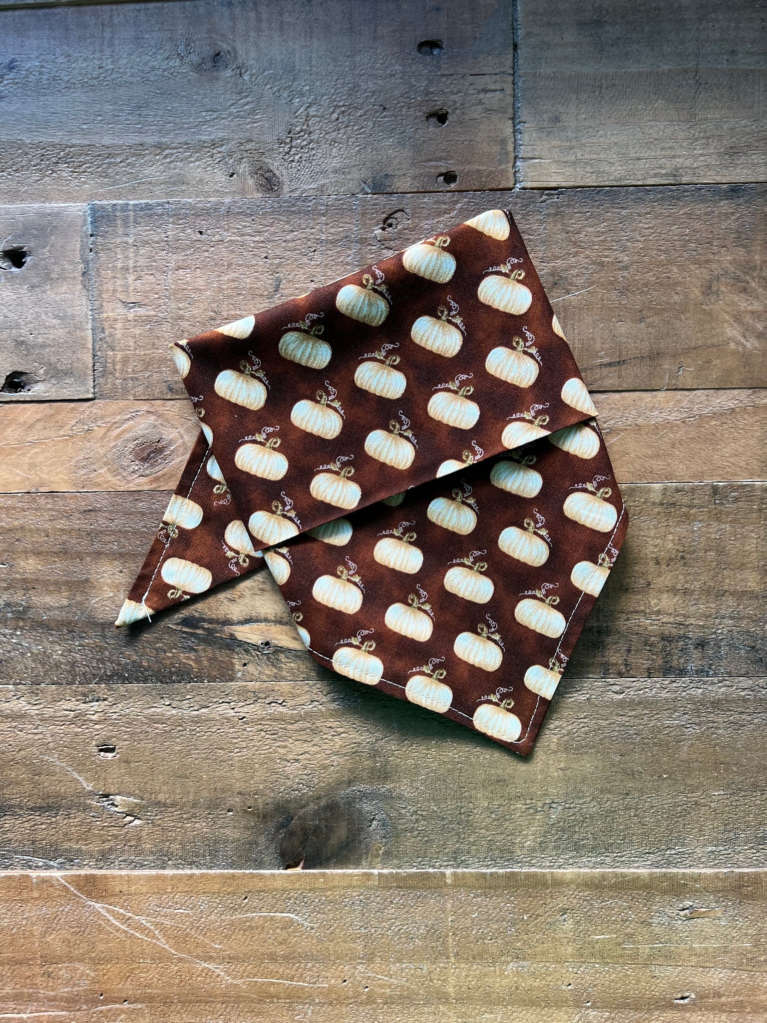 Fall Brown Pumpkins Dog Bandana