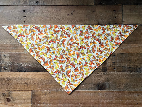 Fall Butterflies Dog Bandana