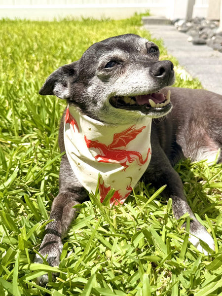 Fire Glow Dragons Dog Bandana - Fire