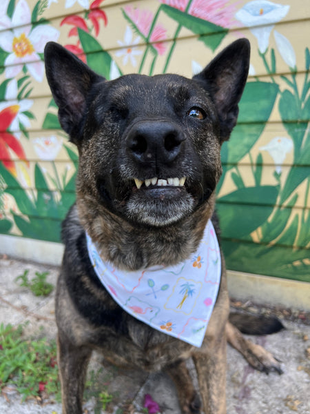 Dog wearing a bandana with a floral pattern on a colorful background