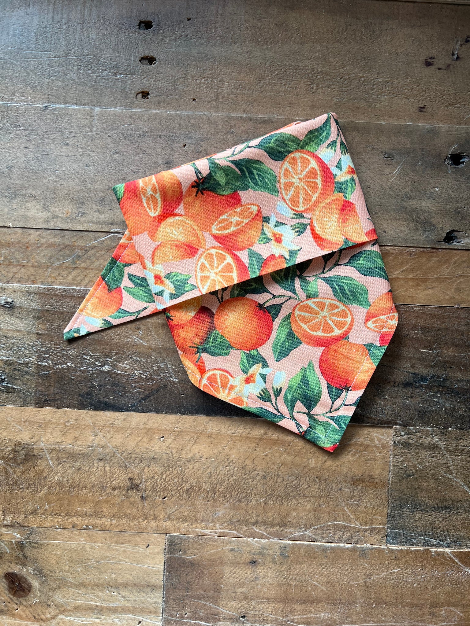 Florida Oranges Dog Bandana
