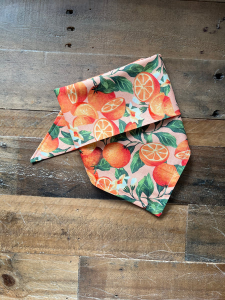 Florida Oranges Dog Bandana