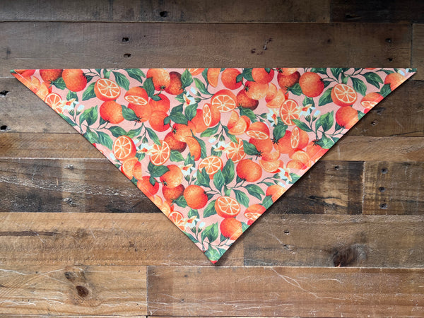 Florida Oranges Dog Bandana
