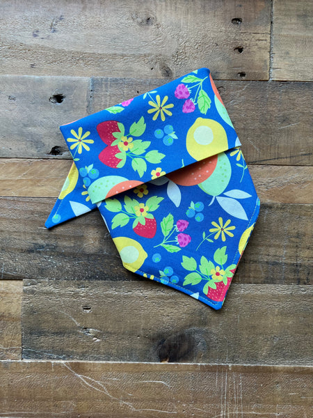 Fruit Dog Bandana Lemons Oranges Strawberries Raspberries Blue Berries