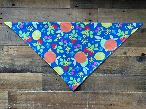 Fruit Dog Bandana