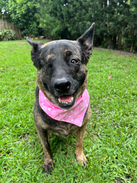Gotcha Day Pink Bandana