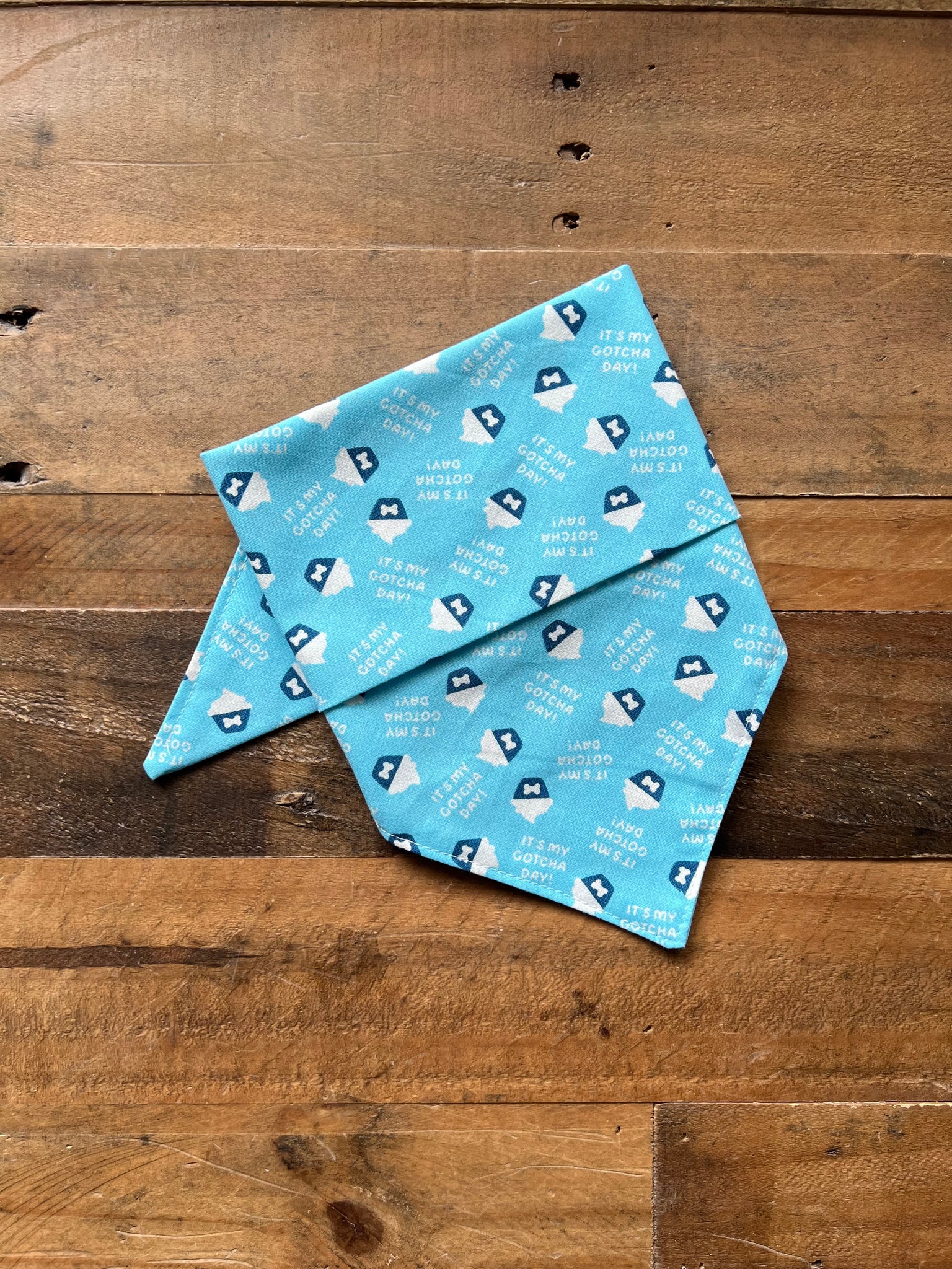 Gotcha Day Blue Bandana