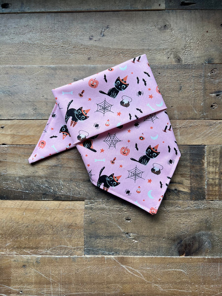 Halloween Black Kittens with Pink Background Dog Bandana