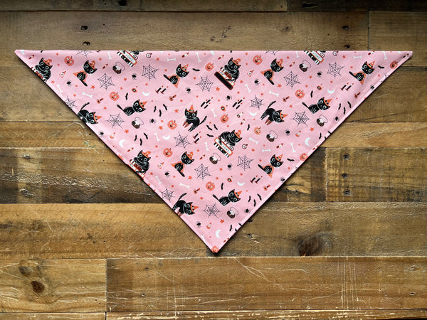 Halloween Black Kittens with Pink Background Dog Bandana