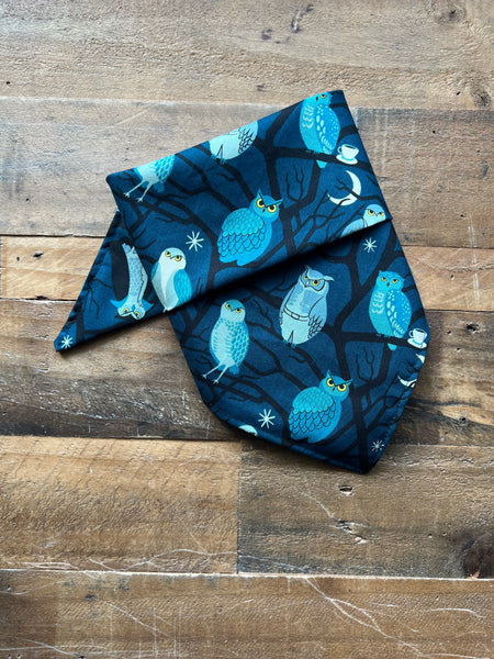 Halloween Owls Dog Bandana - Blue
