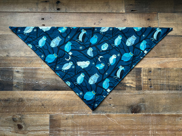 Halloween Owls Dog Bandana - Blue