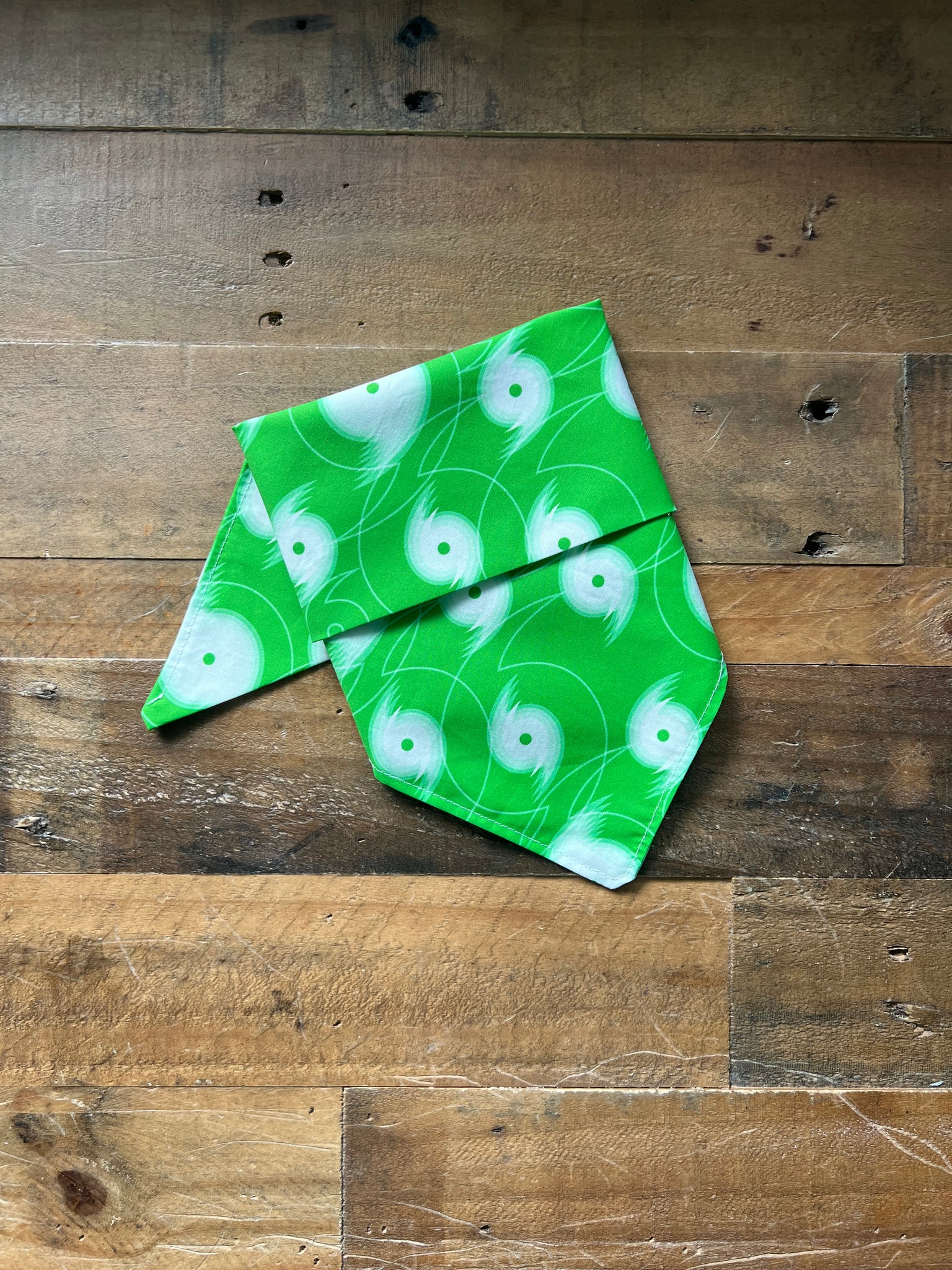 Hurricane Dog Bandana