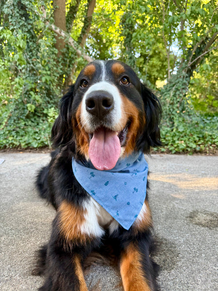 Island Getaway Dog Bandana