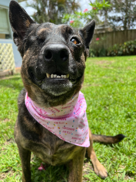 Barkday Bandana Pink