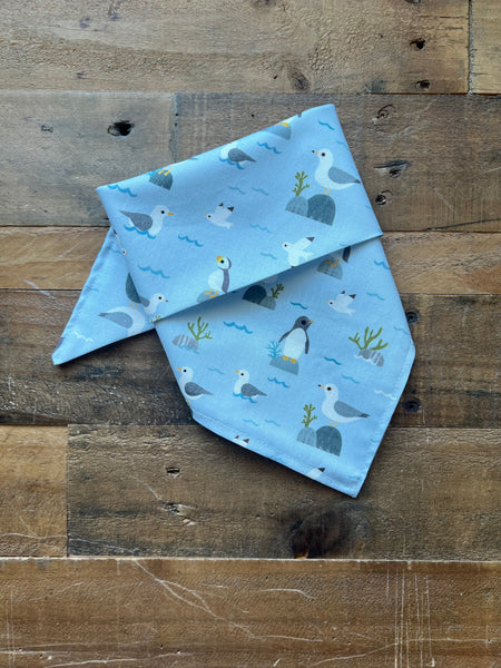 Seagulls, Puffins, and Penguins On A blue background dog bandana
