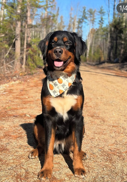 Thanksgiving Leg Day Dog Bandana