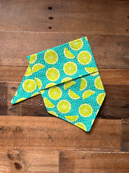 Limes Dog Bandana