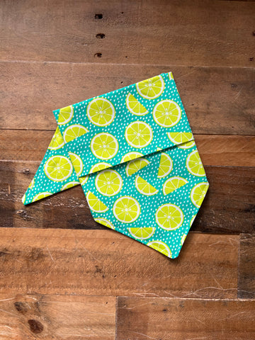 Limes Dog Bandana