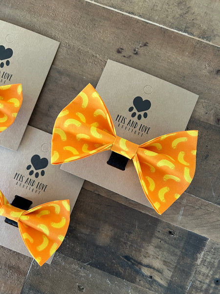 Macaroni Dog Bow Tie