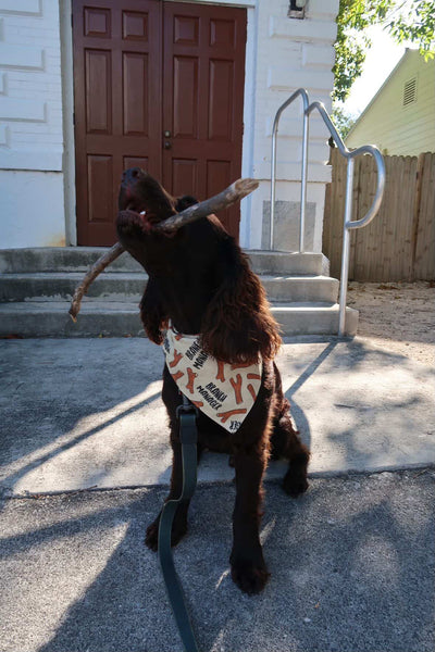 Branch Manager Dog Bandana - Tan