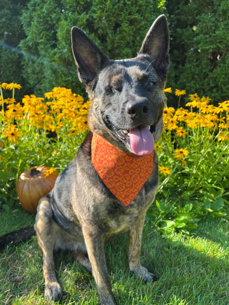 Fall Pumpkins Dog Bandana - Orange