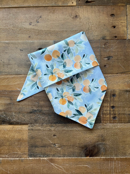 Oranges with Light Blue Background Dog Bandana