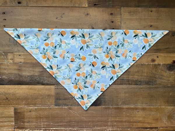 Oranges with Light Blue Background Dog Bandana