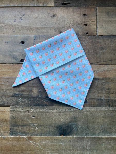 Peachy Keen Dog Bandana
